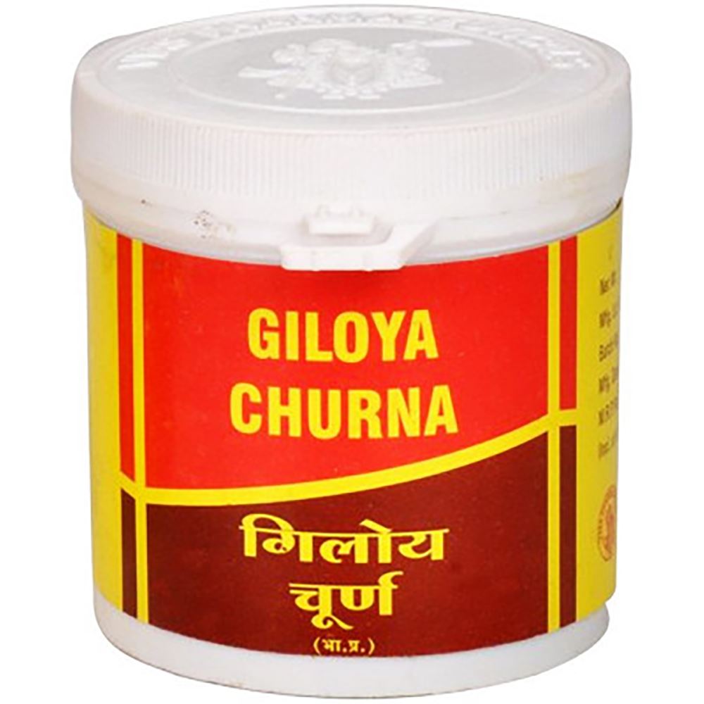 Vyas Giloy Churna (100g, Pack of 2)