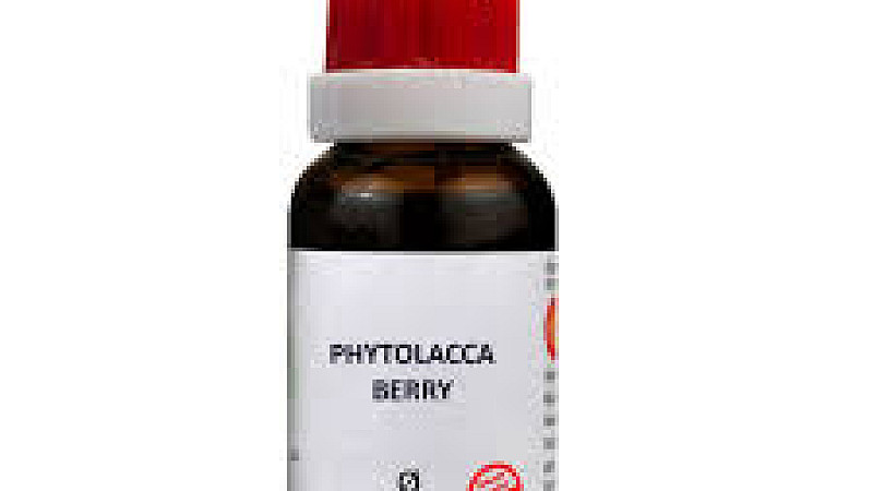 B Jain Phytolacca Berry 1X (Q) (100ml) – Natural Weight Management and Metabolism Booster