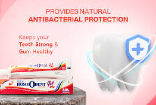 SBL Homeodent Tooth Paste Gel (Red) – Herbal Oral Care for a Healthy Smile