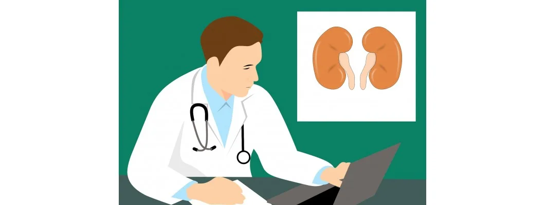 Homeopathy for Kidney Stone Therapy