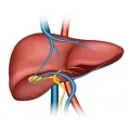 Homeopathic Medicine for Fatty Liver & Jaundice