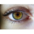 Homeopathic Medicine for Cataract