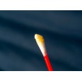 Homeopathic Medicine for Ear Wax