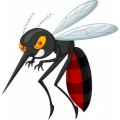 Homeopathic Medicine for Chikungunya