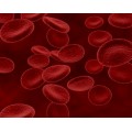 Homeopathic Medicine for Blood Purifier