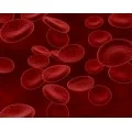 Homeopathic Medicine for Blood Purifier