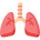 Respiratory System