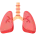 Respiratory System