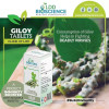 LDD Bioscience Giloy Tablets (25g)