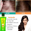 LDD Bioscience Arnica Shampoo (200ml)