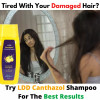 LDD Bioscience Canthazol Anti -Dandruff Shampoo (200ml)