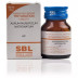 SBL Aurum Muriaticum Natronatum 6X (25g)