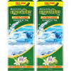 Baidyanath Ayurved Himsugandhit Tail (100ml, Pack of 2)