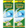 Baidyanath Ayurved Himsugandhit Tail (100ml, Pack of 2)