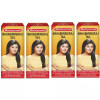 Baidyanath Ayurved Mahabhringraj Ayurvedic Hair Oil (50ml, Pack of 4)