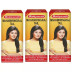 Baidyanath Ayurved Mahabhringraj Ayurvedic Hair Oil (100ml, Pack of 3)