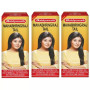 Baidyanath Ayurved Mahabhringraj Ayurvedic Hair Oil (100ml, Pack of 3)