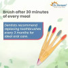 Dr Morepen Organic Bamboo Toothbrush For Adults (6 Multicolor Toothbrush) (1Pack)