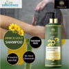 LDD Bioscience Arnica Gold Shampoo (200ml)