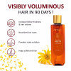 Omeo Arnica Hair Oil (200ml)