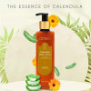 Omeo Calendula Body Lotion (100ml)