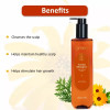 Omeo Arnica Shampoo (200ml, Pack of 2)
