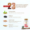 Maharishi Ayurveda Vigoroyal-M Tablets (60tab)