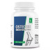 Adven Osteodin Tablets (210tab)