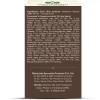 Maharishi Ayurveda Kumkumadi Taila (10ml)