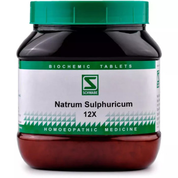 Willmar Schwabe India Natrum Sulphuricum 12X (550g)