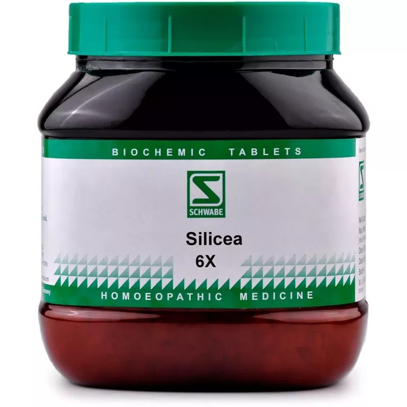 Willmar Schwabe India Silicea 6X (550g)