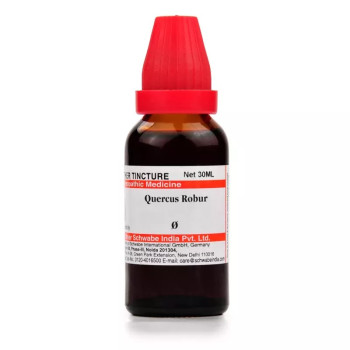 Willmar Schwabe India Quercus Robur 1X (Q) (30ml)