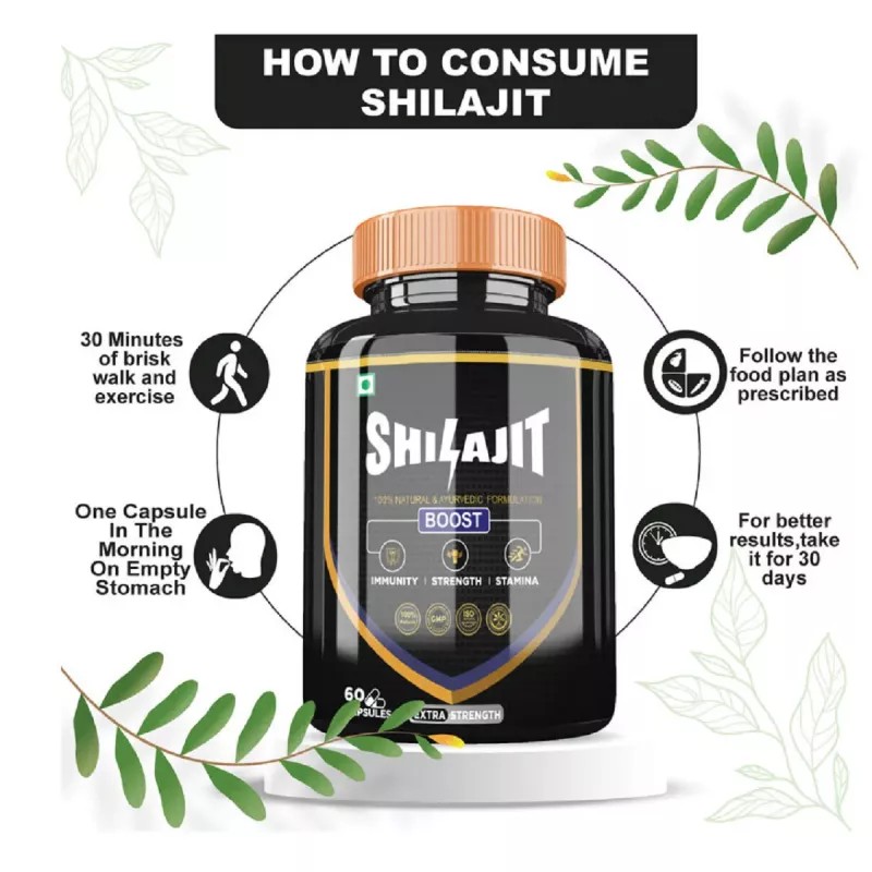 Divya Shree Shilajit Capsules (60cap)