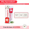 Baidyanath Ayurvedant Ayudant Herbal Toothpaste (100g, Pack of 2)
