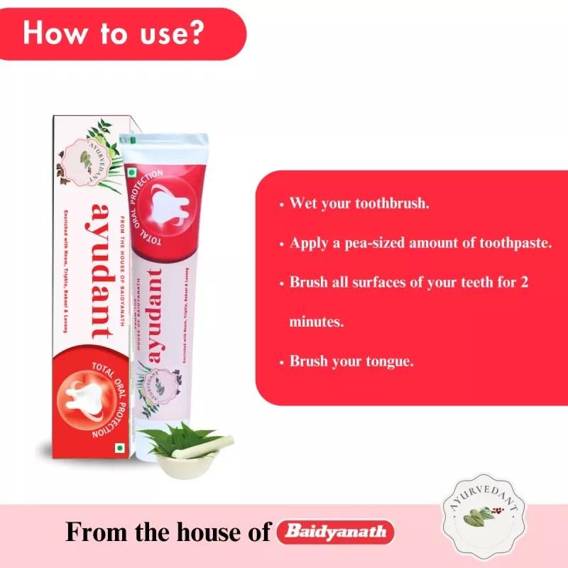 Baidyanath Ayurvedant Ayudant Herbal Toothpaste (100g, Pack of 2)
