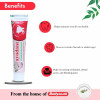 Baidyanath Ayurvedant Ayudant Herbal Toothpaste (100g, Pack of 2)