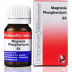 Dr Reckeweg Magnesia Phosphoricum 6X (20g)