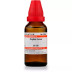 Willmar Schwabe India Nuphar Lutea 30 CH (30ml)