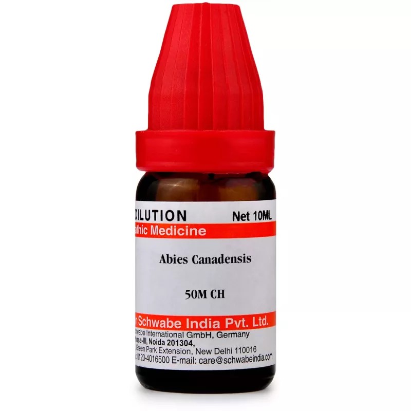 Willmar Schwabe India Abies Canadensis 50M CH (10ml)