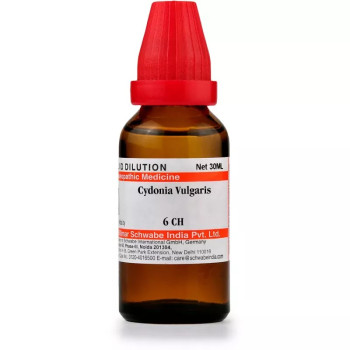 Willmar Schwabe India Cydonia Vulgaris 6 CH (30ml)