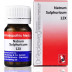 Dr Reckeweg Natrum Sulphuricum 12X (20g)