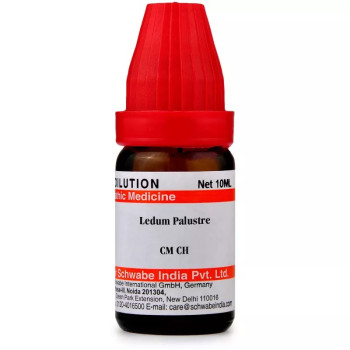 Willmar Schwabe India Ledum palustre CM CH (10ml)