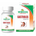 Wheezal Gastrolex Tablets (250tab)
