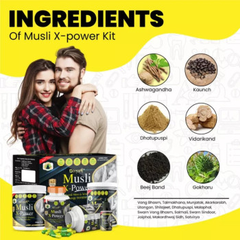 Divya Shree Musli X-Powder Kit (Powder 150gm + Prash 200gm + 60 Caps + Oil 30ml) (1Pack)