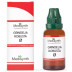 Medisynth Grindelia Robusta 1X (Q) (30ml)