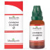 Medisynth Gymnema Sylvestre 1X (Q) (30ml)
