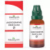 Medisynth Andrographis Paniculata 1X (Q) (30ml)