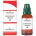 Medisynth Boerhaavia Diffusa 1X (Q) (30ml)