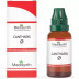 Medisynth Cantharis 1X (Q) (30ml)