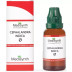 Medisynth Cephalandra Indica 1X (Q) (30ml)